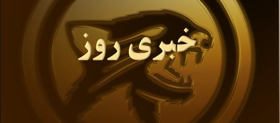 photo_2023-10-12_07-21-59