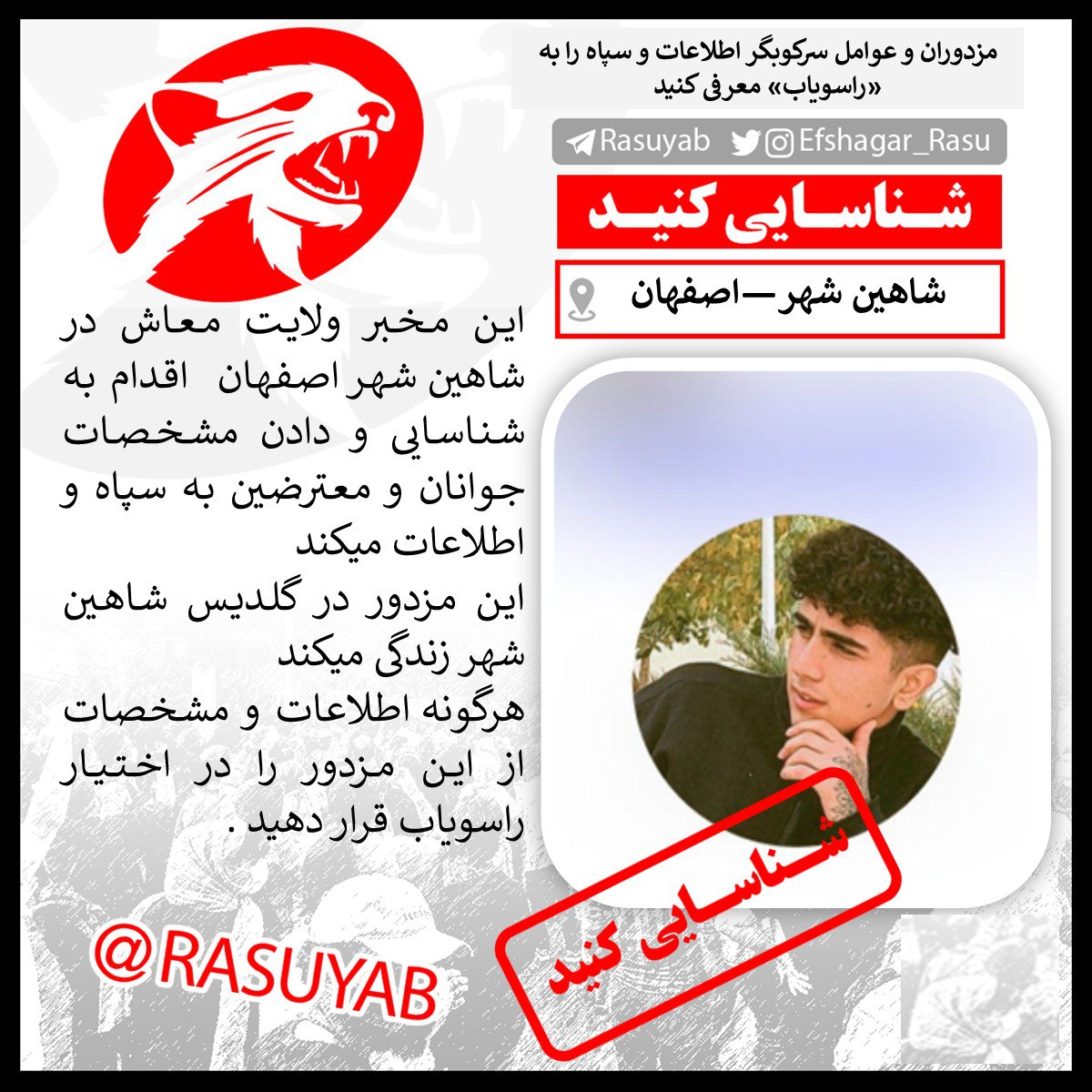 photo_2025-10-15_11-55-06