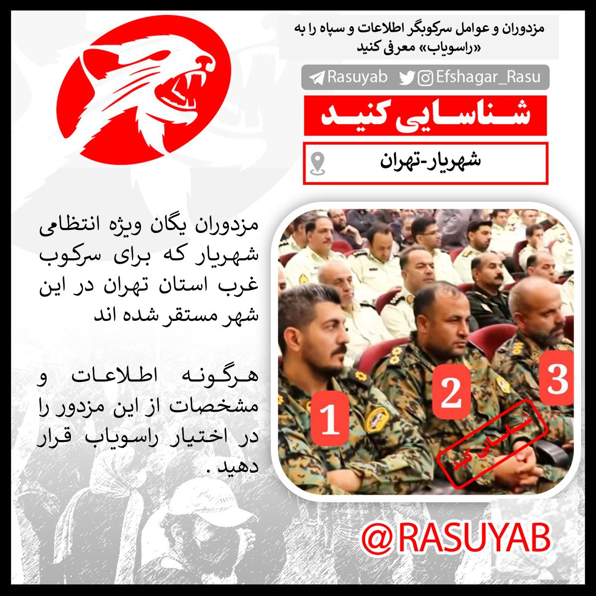 photo_2025-10-23_17-03-55