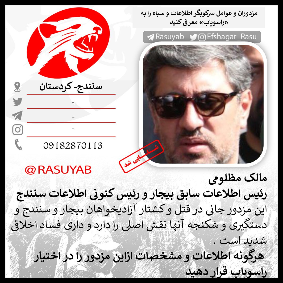 photo_2025-11-25_11-41-34