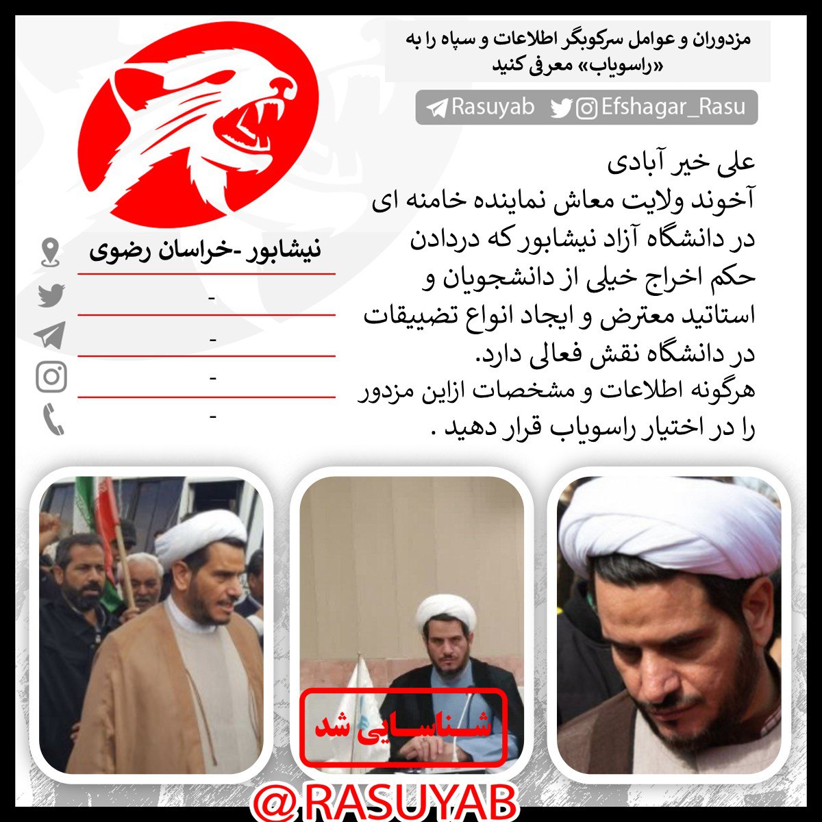 photo_2025-11-25_11-43-58