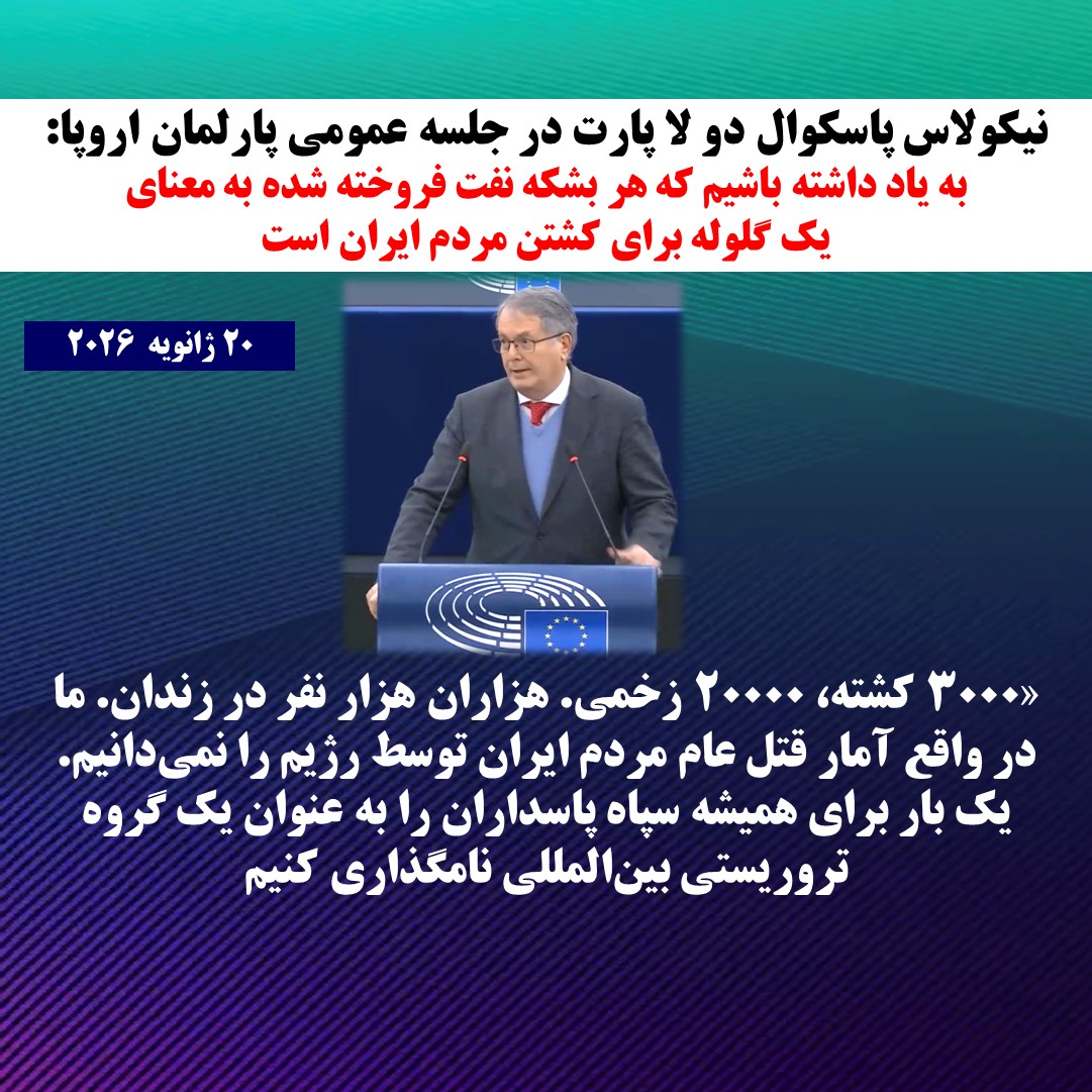 نیکولاس پاسکوال دو لا پارت در جلسه عمومی پارلمان اروپا